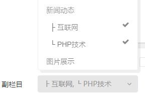 迅睿CMS副欄目功能如何使用，實現一篇文章多個欄目發布